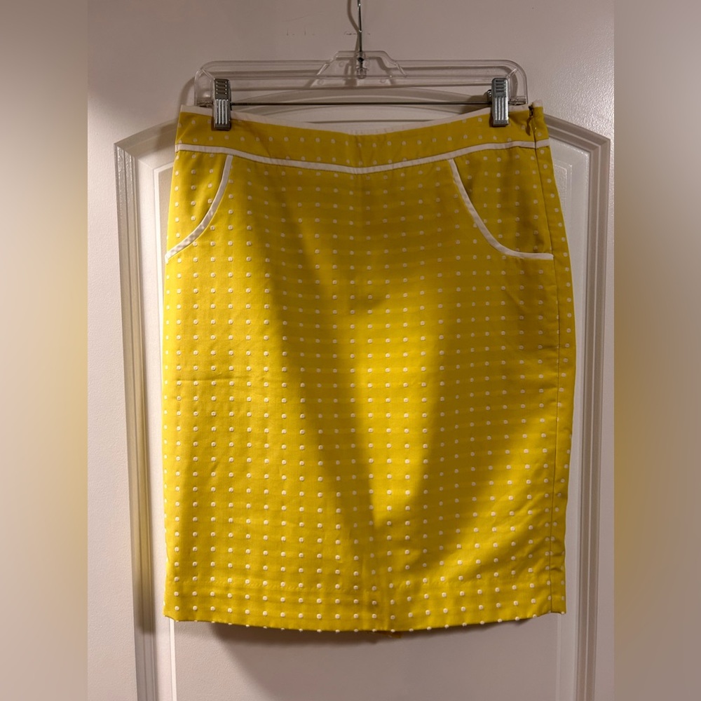 The Limited Lined Skirt size 8